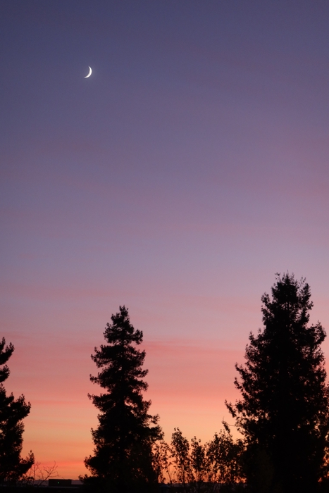 Moon at Berkeley